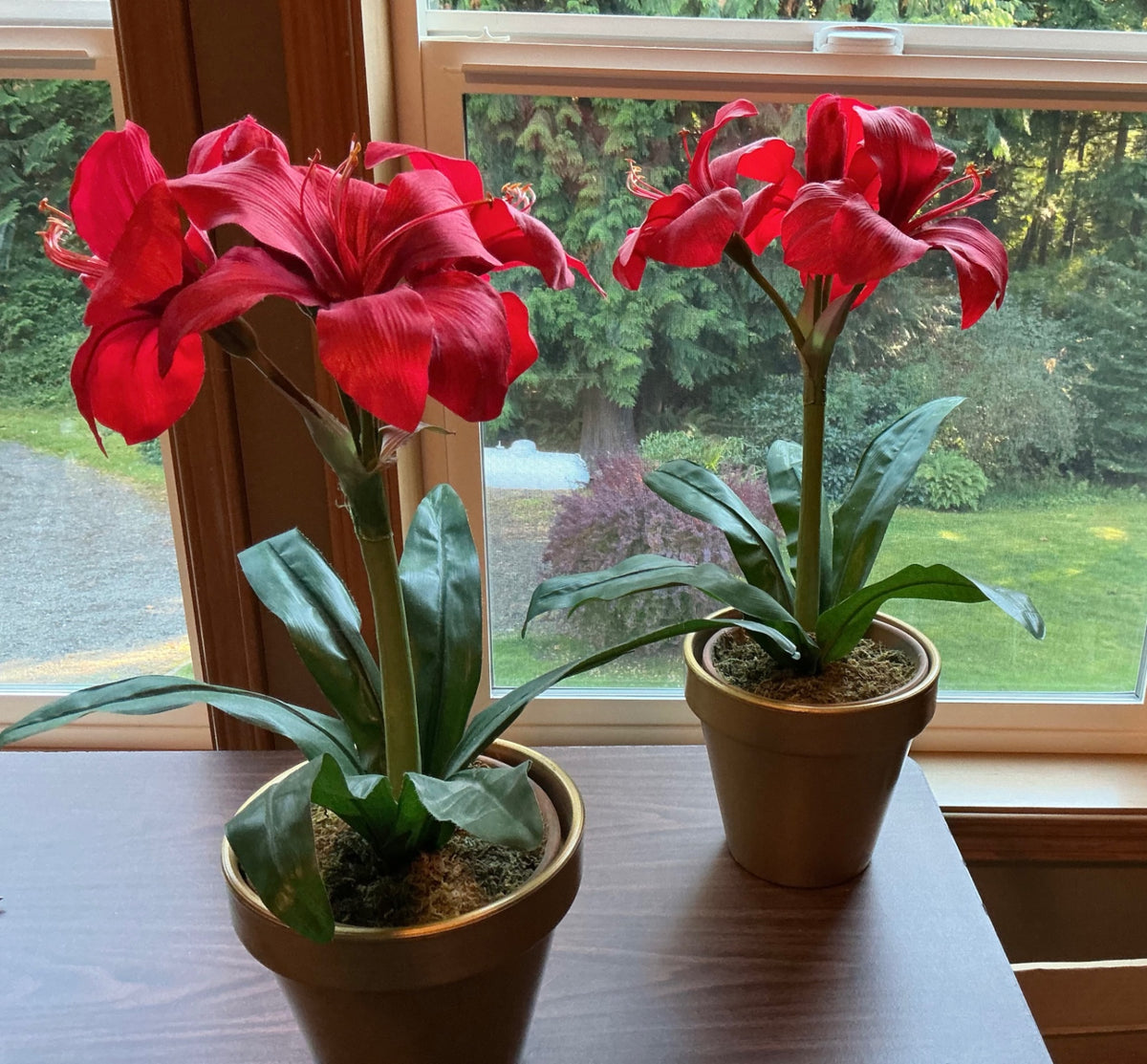 PAIR OF FAUX POTTED AMARYLLIS 