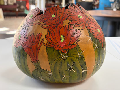 Mesquite Gourd 