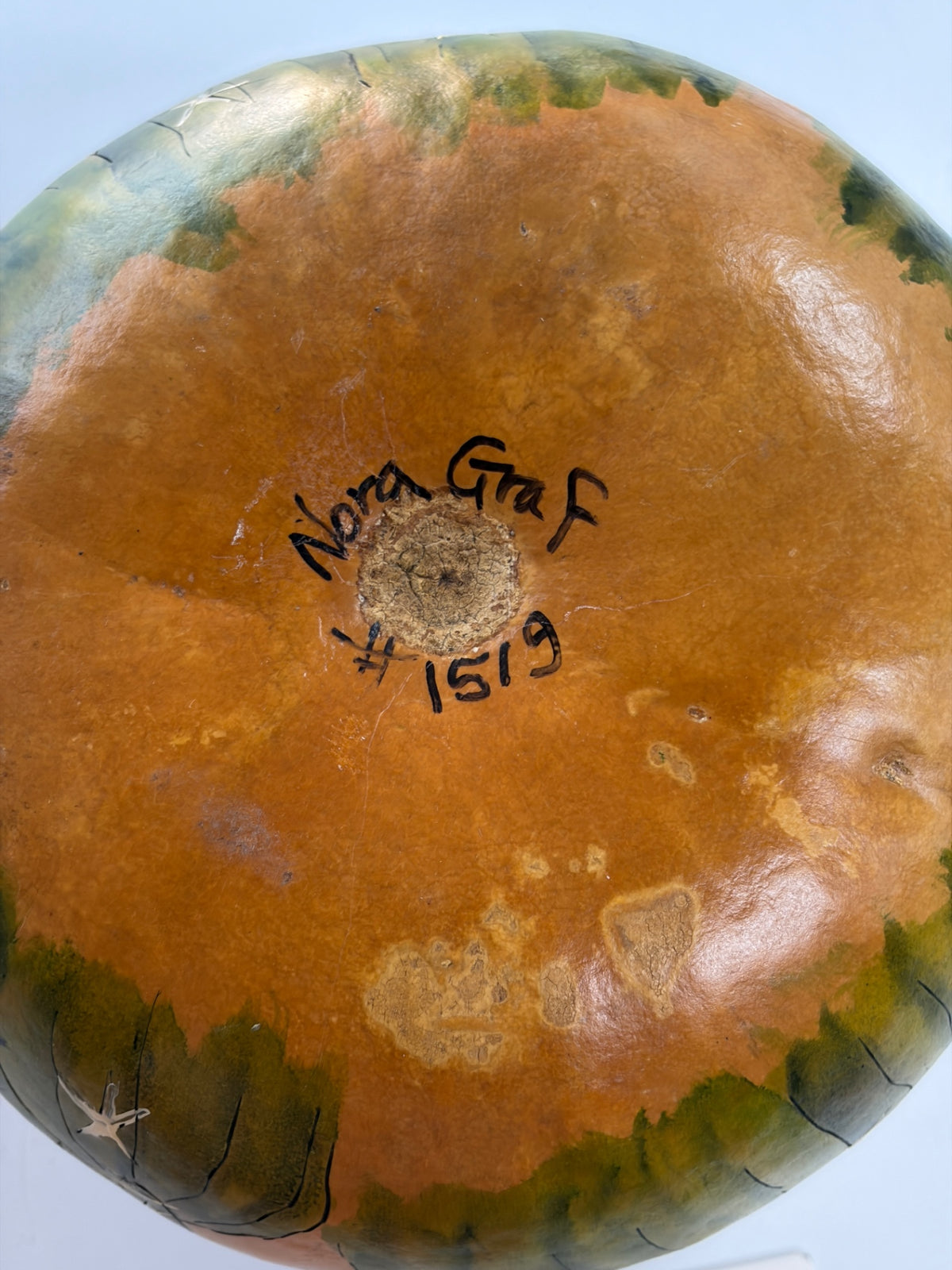 Mesquite Gourd 