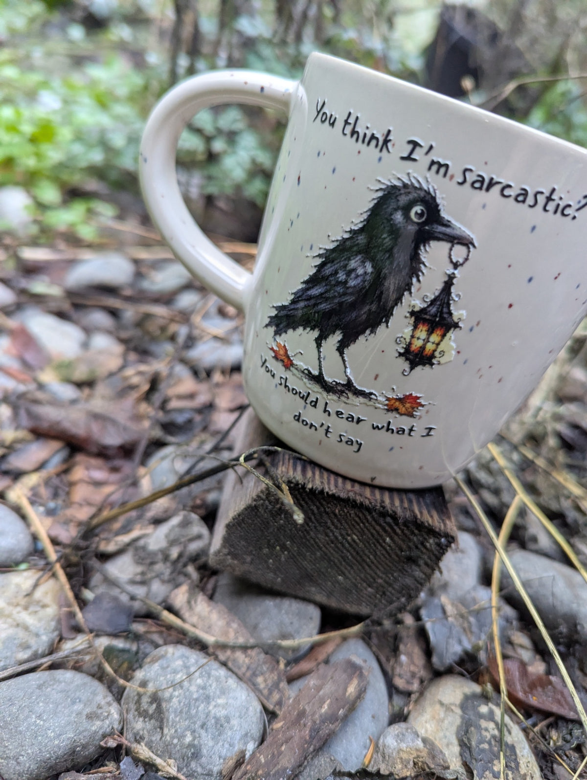 Raven coffee mug 