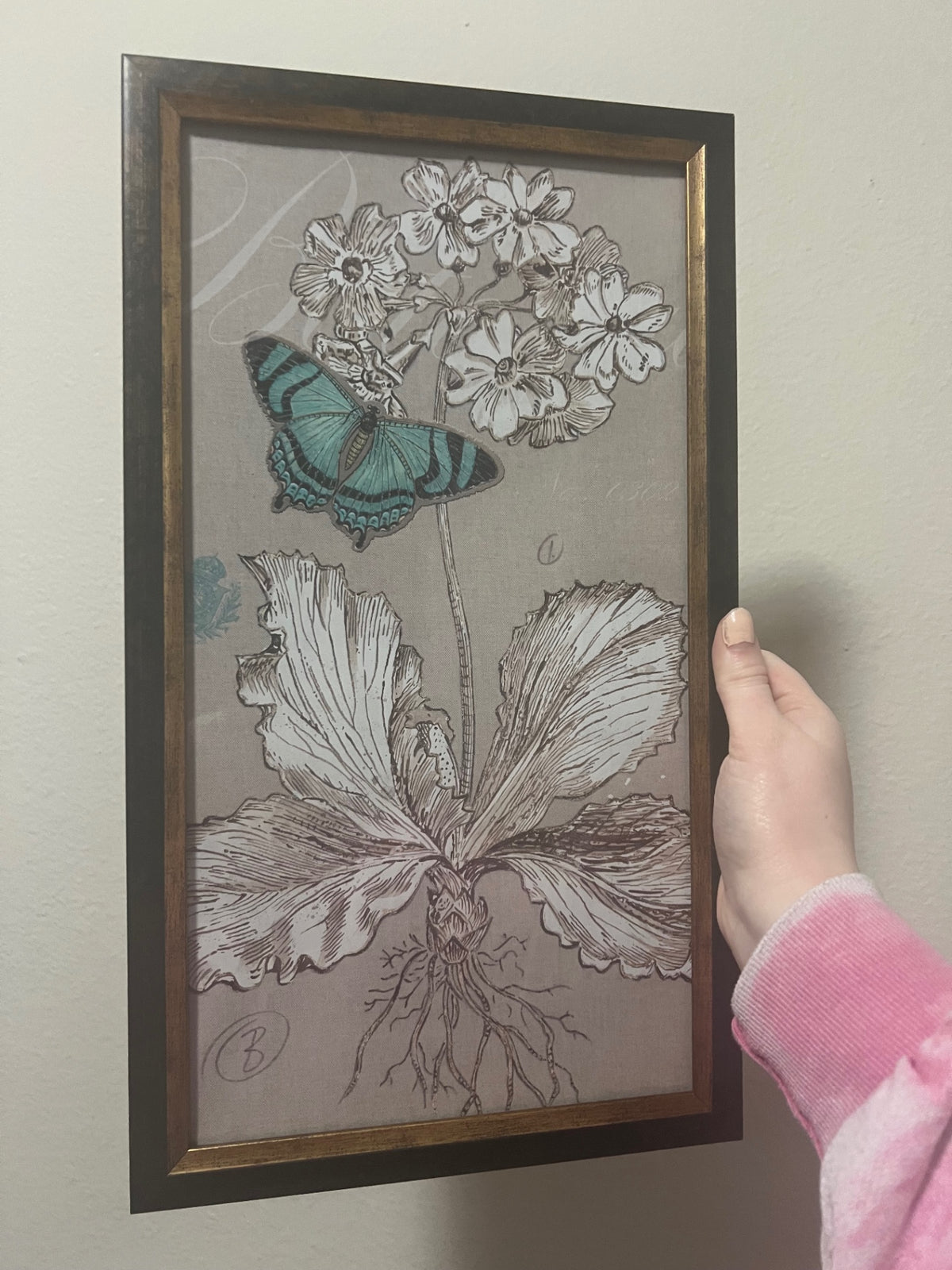 Butterfly Framed Art