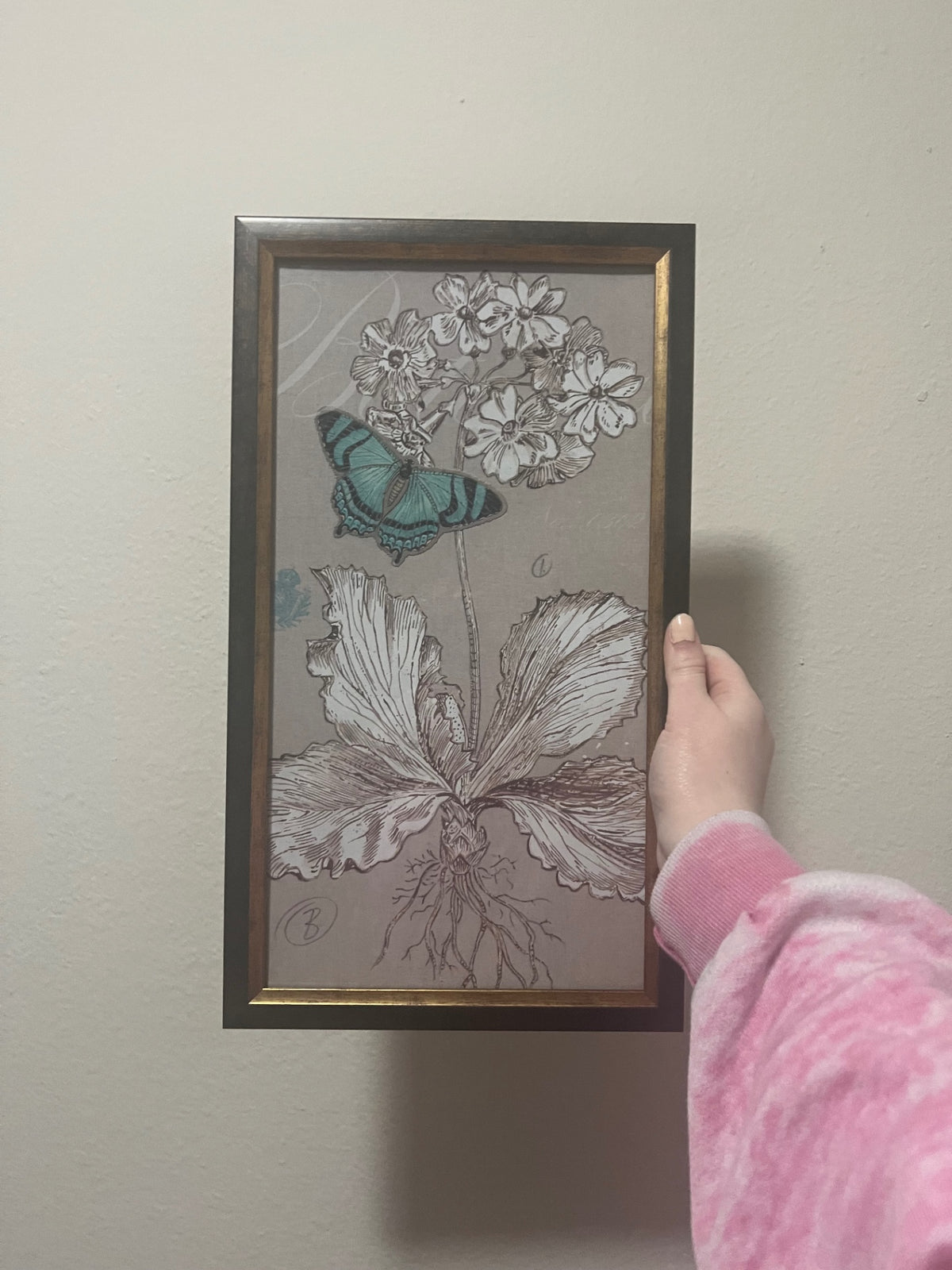 Butterfly Framed Art