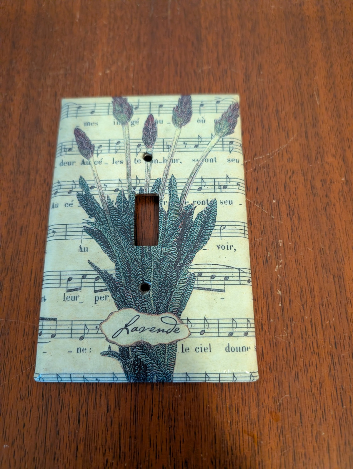Light Switch Cover