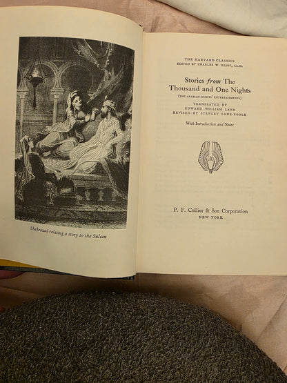 THE 1001 NIGHTS