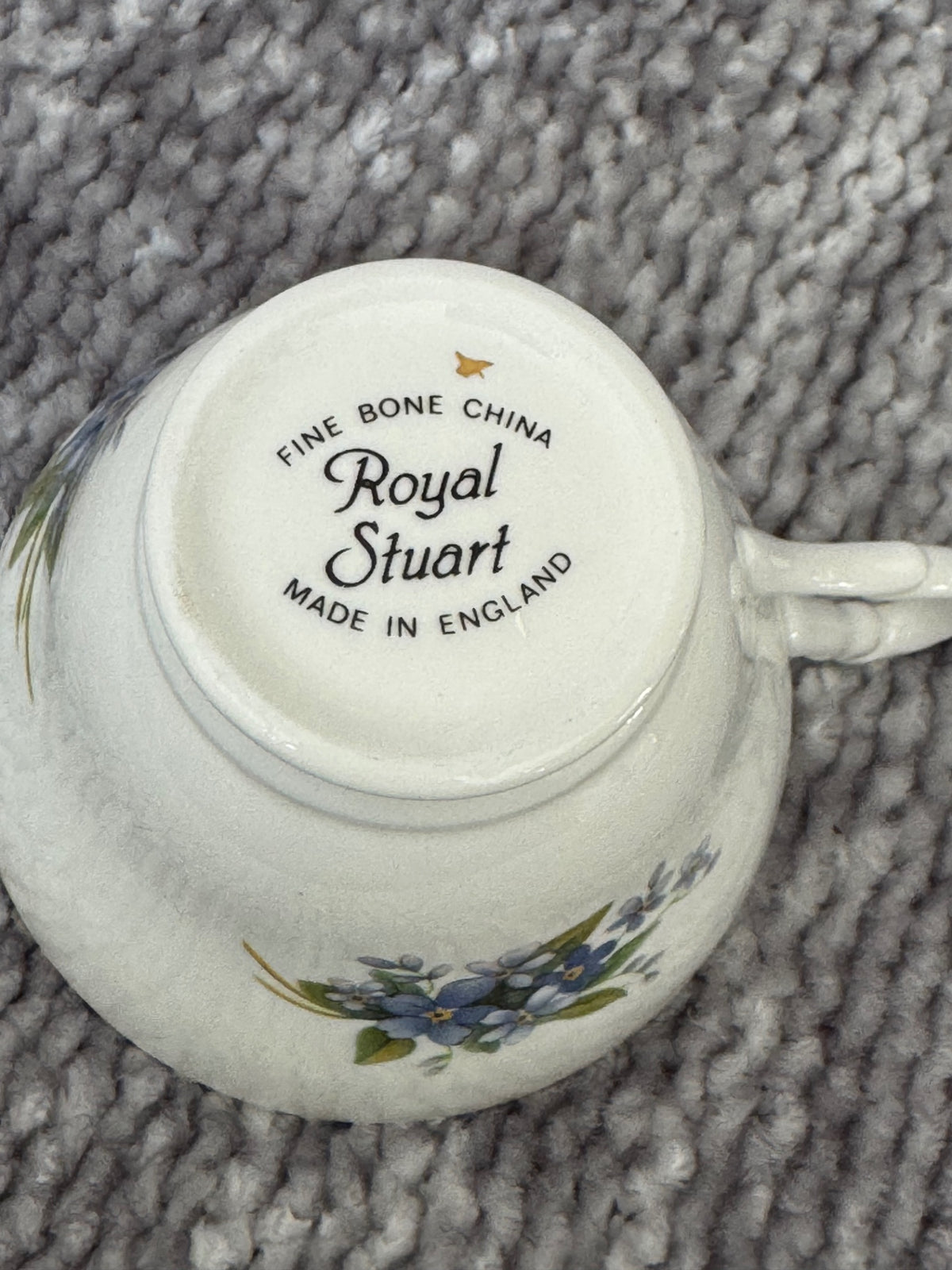 Royal Stuart Forget me not teacup & saucer  England 