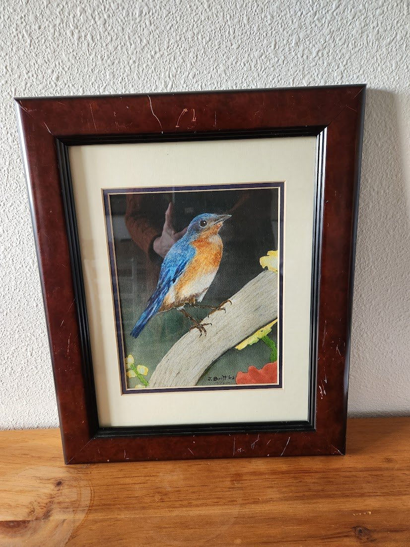 1962 Signed & Numbered Limited Edition Eastern Bluebird Print