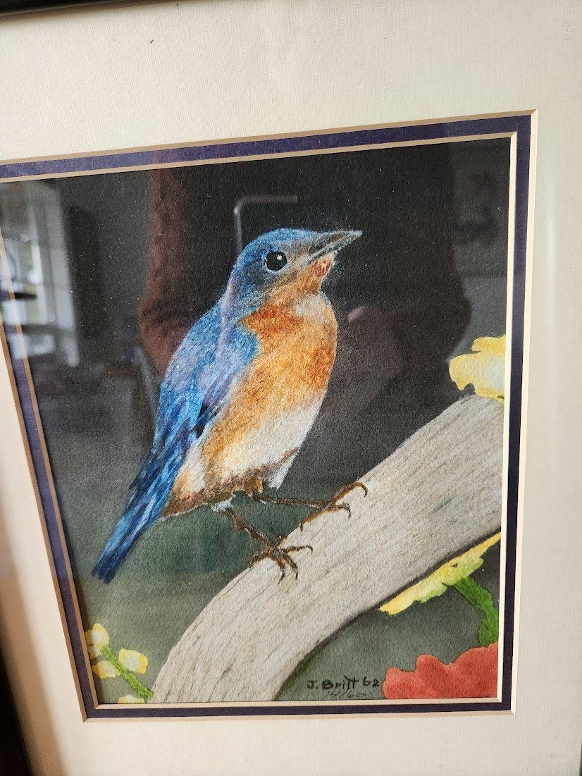 1962 Signed & Numbered Limited Edition Eastern Bluebird Print