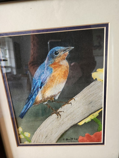 1962 Signed & Numbered Limited Edition Eastern Bluebird Print