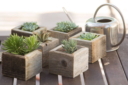 Reclaimed Wood Mini Square Planters / Favor Boxes