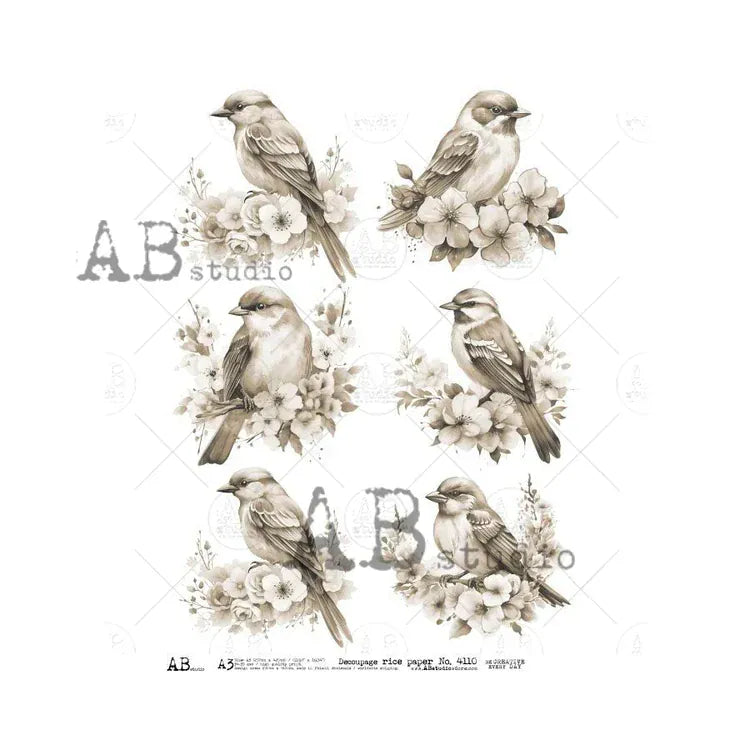 Decoupage Central Decoupage Paper A3 Soft Songbirds in Sepia Rice Paper (AB4110)