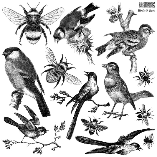 Birds & Bees 12x12 IOD Stamp (1 Sheet)