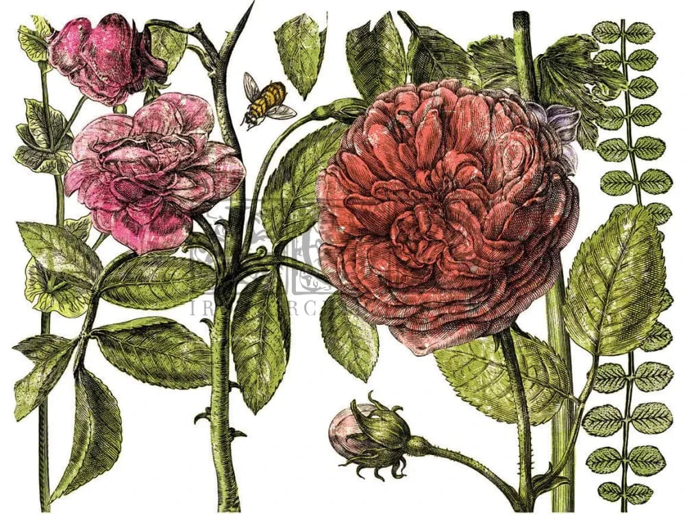 Botanist's Journal IOD Transfer 12x16 (4 Sheets)
