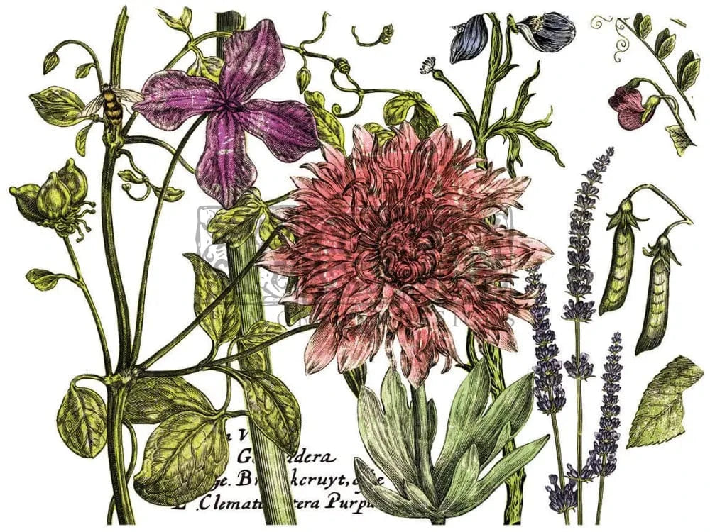 Botanist's Journal IOD Transfer 12x16 (4 Sheets)