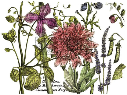 Botanist's Journal IOD Transfer 12x16 (4 Sheets)