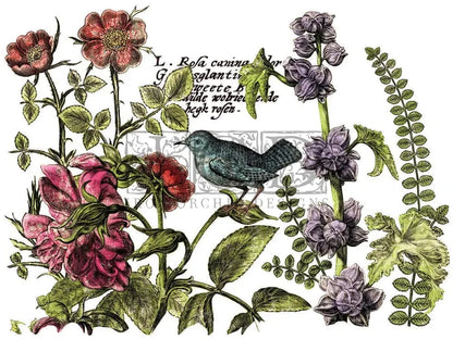 Botanist's Journal IOD Transfer 12x16 (4 Sheets)