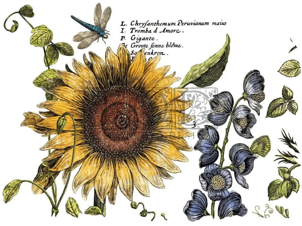 Botanist's Journal IOD Transfer 12x16 (4 Sheets)