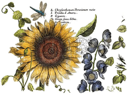 Botanist's Journal IOD Transfer 12x16 (4 Sheets)