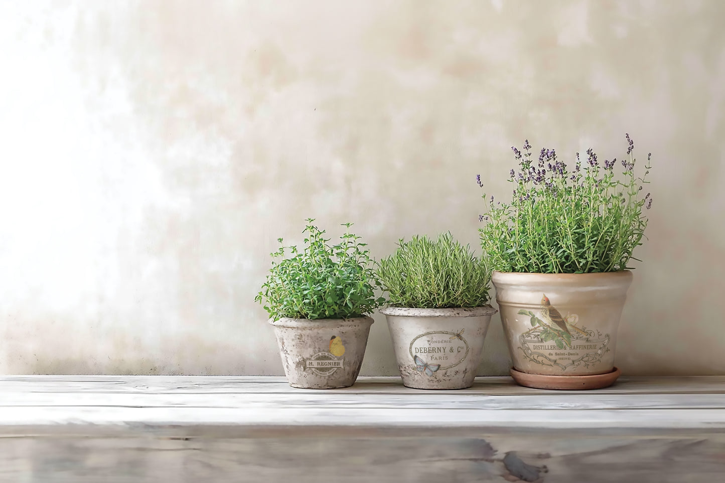 By Any Other Name IOD 8x12 Transfer (8 Sheets)