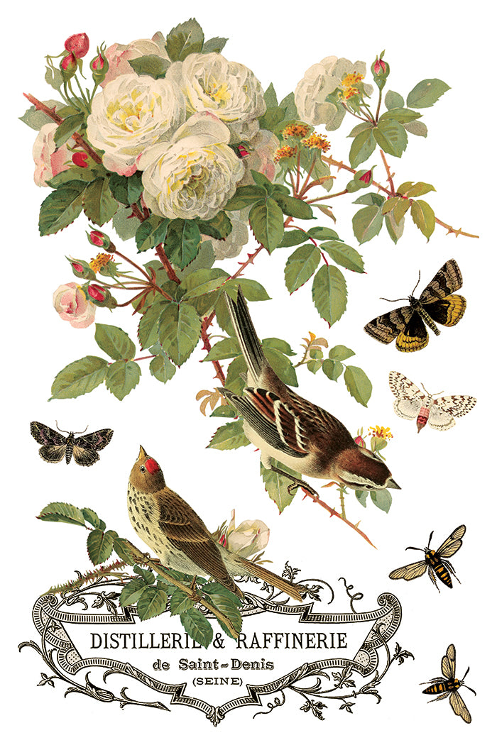 By Any Other Name IOD 8x12 Transfer (8 Sheets)