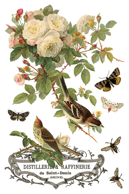 By Any Other Name IOD 8x12 Transfer (8 Sheets)