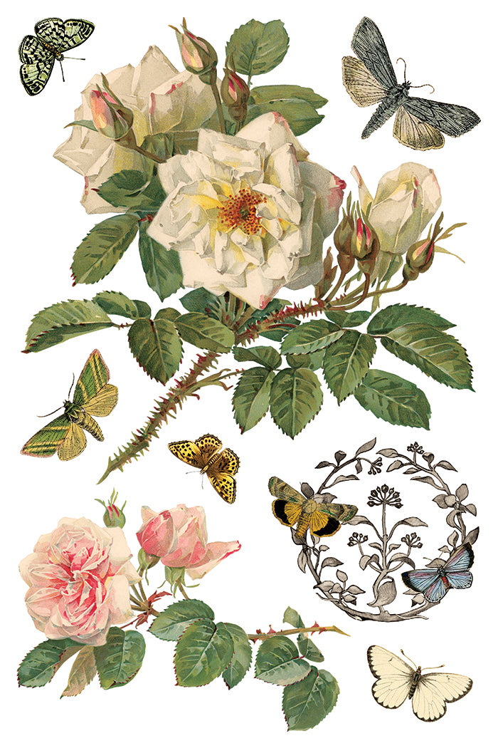 By Any Other Name IOD 8x12 Transfer (8 Sheets)