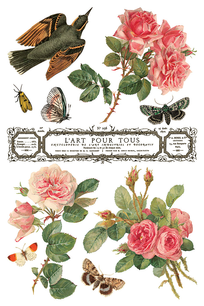 By Any Other Name IOD 8x12 Transfer (8 Sheets)