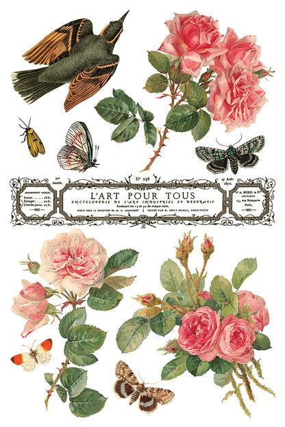 By Any Other Name IOD 8x12 Transfer (8 Sheets)