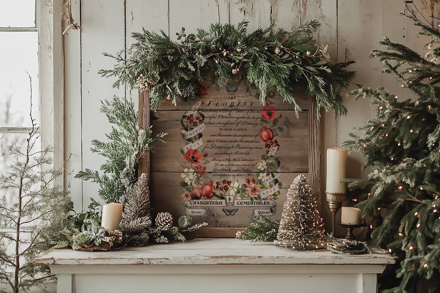 Locker61 Transfers Clementine IOD Transfer 8x12 Pad (8 sheets)