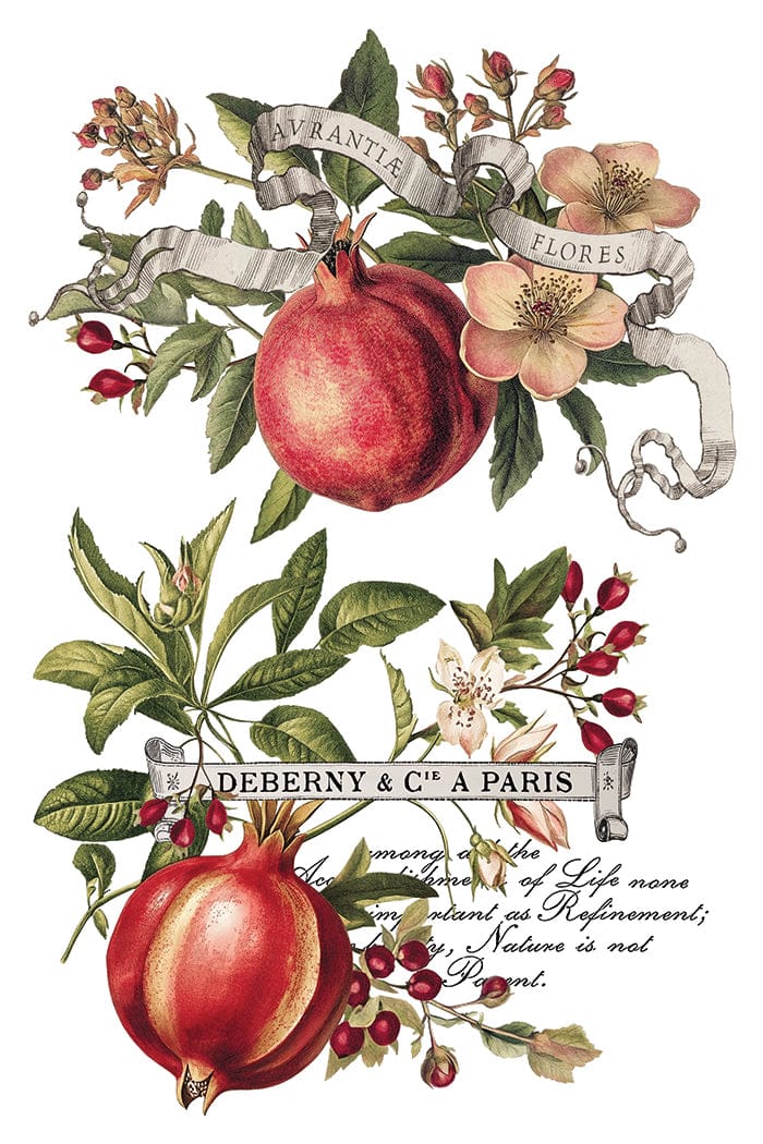 Locker61 Transfers Clementine IOD Transfer 8x12 Pad (8 sheets)