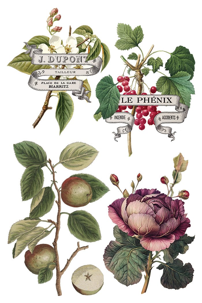 Locker61 Transfers Clementine IOD Transfer 8x12 Pad (8 sheets)