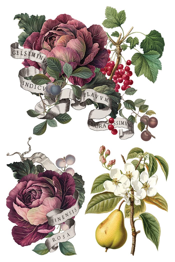 Locker61 Transfers Clementine IOD Transfer 8x12 Pad (8 sheets)