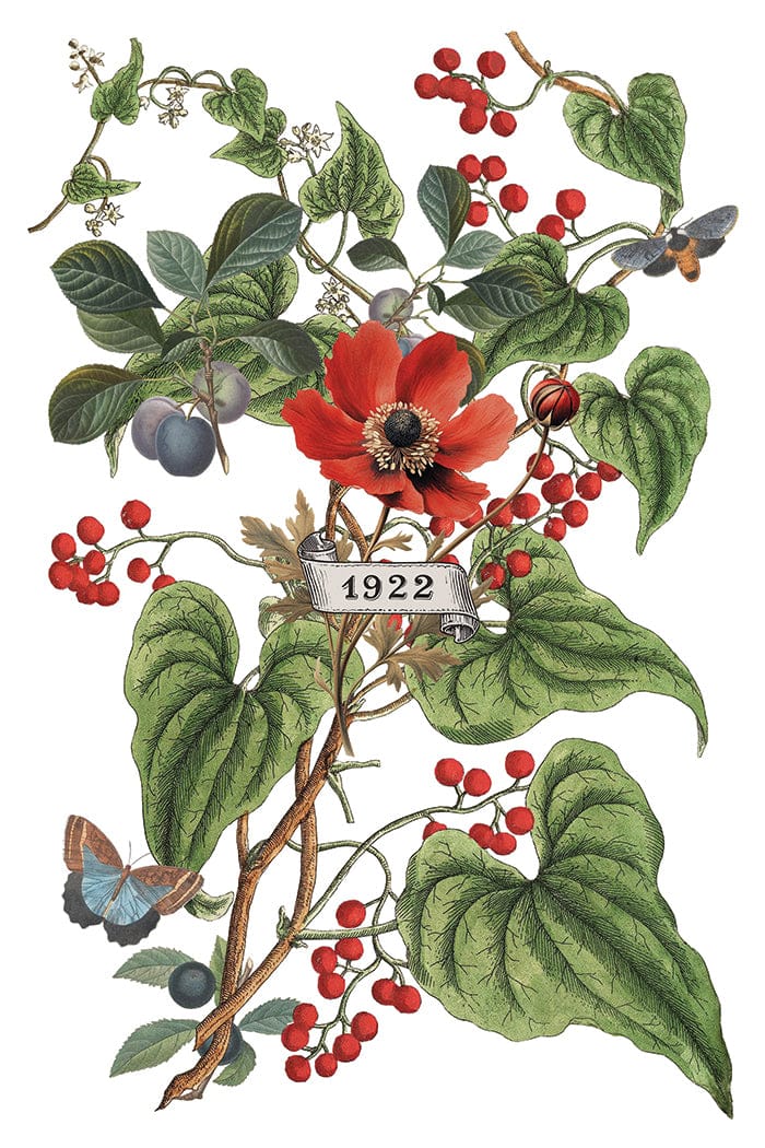 Locker61 Transfers Clementine IOD Transfer 8x12 Pad (8 sheets)