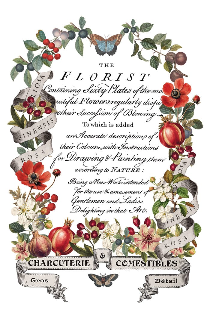 Locker61 Transfers Clementine IOD Transfer 8x12 Pad (8 sheets)