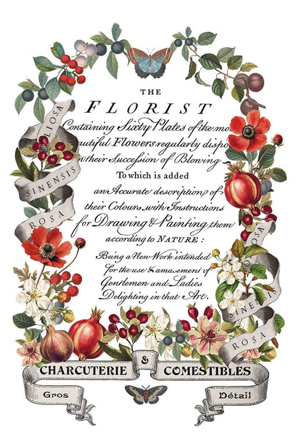 Locker61 Transfers Clementine IOD Transfer 8x12 Pad (8 sheets)