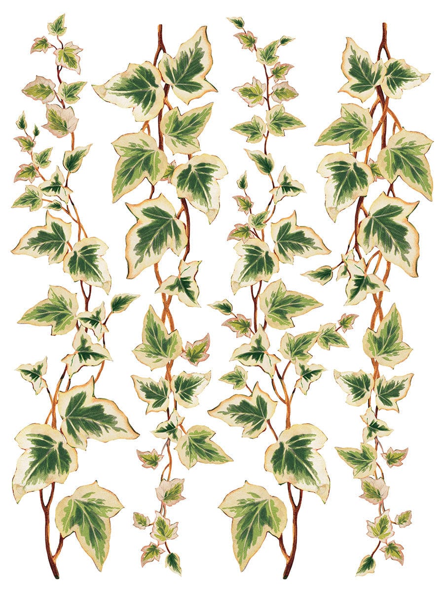 IOD Transfers Collage de Fleurs IOD Transfer 12x16 Pad (8 sheets)