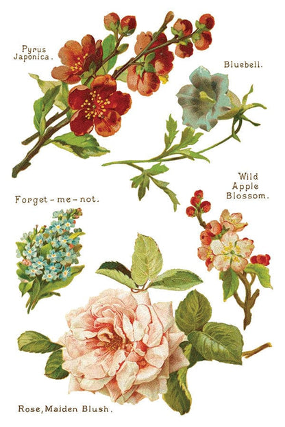 Lover of Flowers IOD Transfer 8x12 Pad (8 sheets)