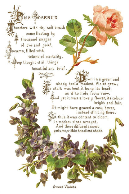 Lover of Flowers IOD Transfer 8x12 Pad (8 sheets)