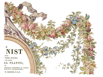The Botanist IOD Transfer 12x16 Pad (4 sheets)
