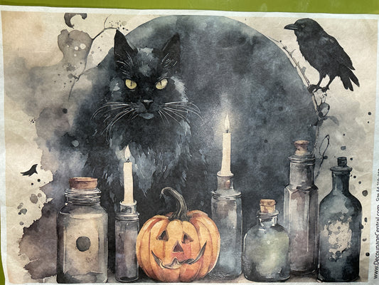 Spooky Cat Decoupage Rice Paper (DC162)