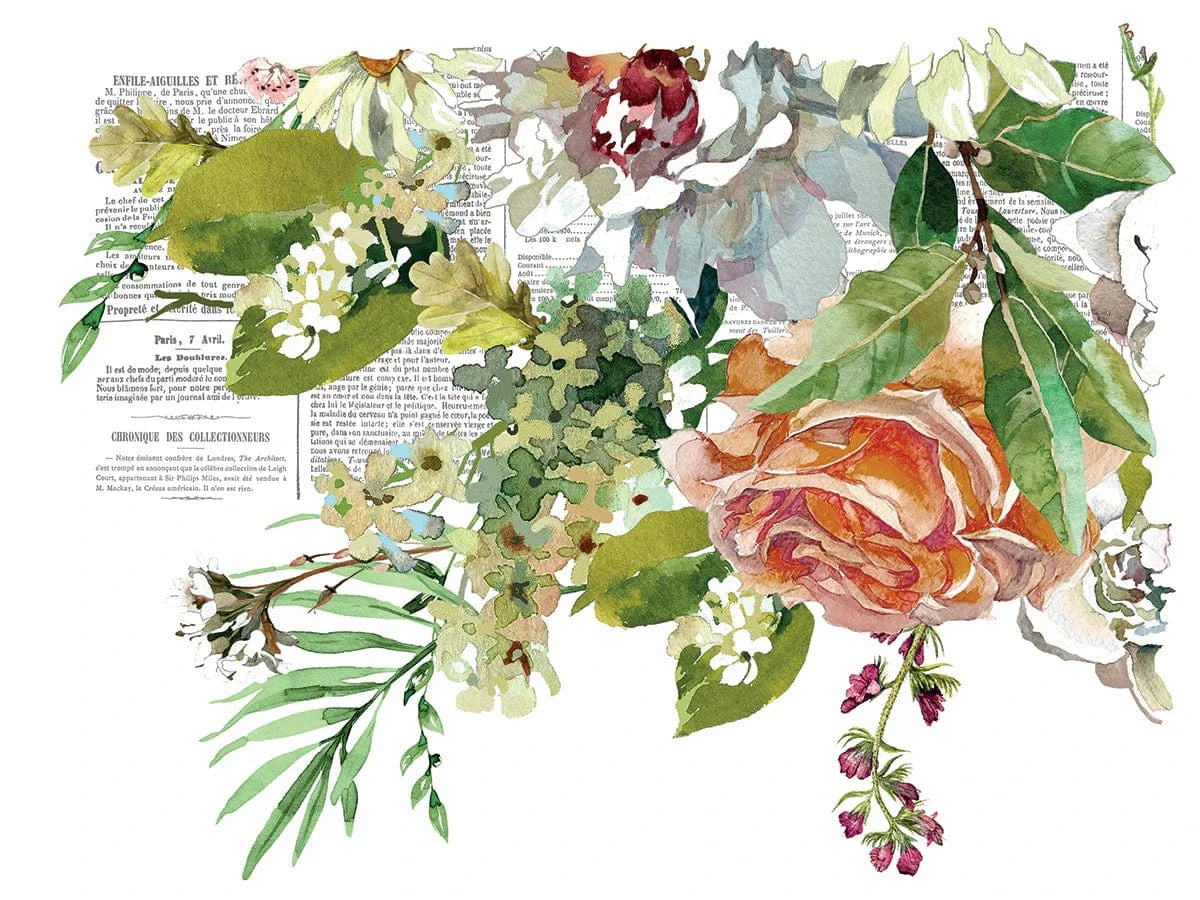 IOD Transfers Elysium IOD Transfer 12x16 Pad (4 Sheets)