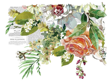 IOD Transfers Elysium IOD Transfer 12x16 Pad (4 Sheets)