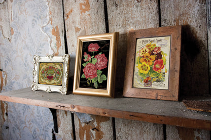 Ephemeral Melange IOD Transfer 8x12 (8 Sheets)