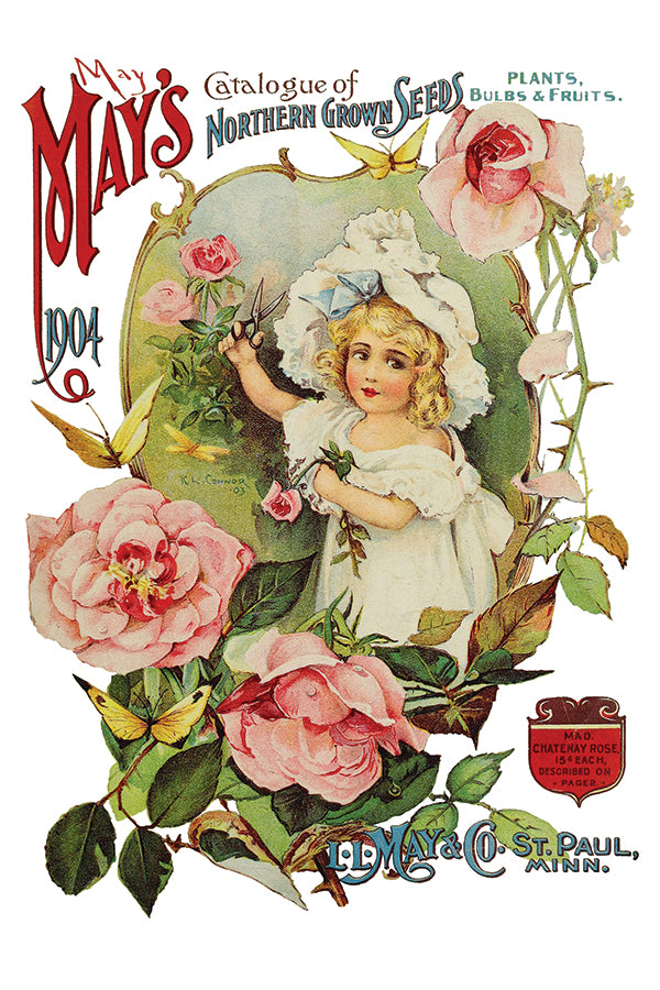 Ephemeral Melange IOD Transfer 8x12 (8 Sheets)