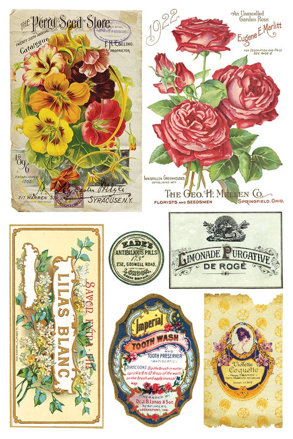 IOD Transfers Ephemeral Melange IOD Transfer 8x12 (8 Sheets)