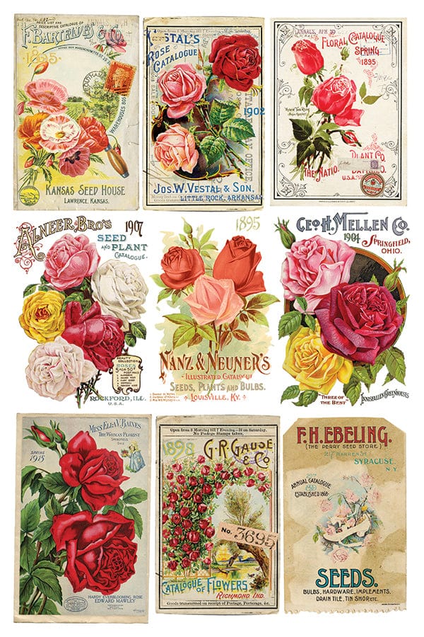 IOD Transfers Ephemeral Melange IOD Transfer 8x12 (8 Sheets)