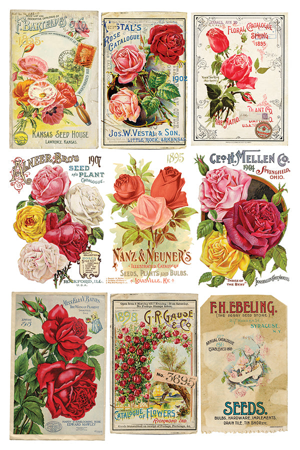 Ephemeral Melange IOD Transfer 8x12 (8 Sheets)