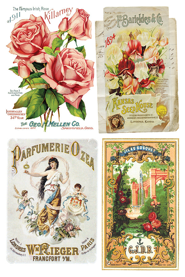 Ephemeral Melange IOD Transfer 8x12 (8 Sheets)