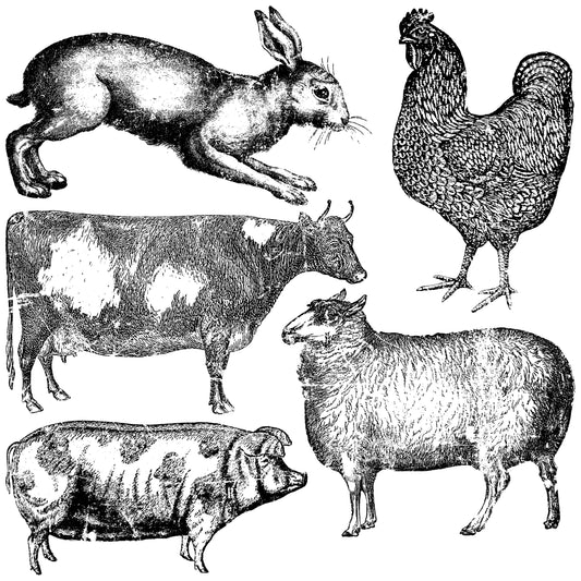 Farm Animals 12x12 Decor Stamp (1 Sheet)