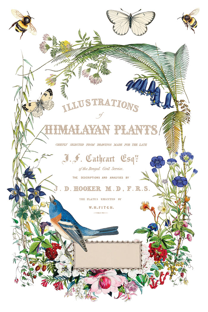 Flora Greca IOD 8x12 Transfer (8 Sheets)