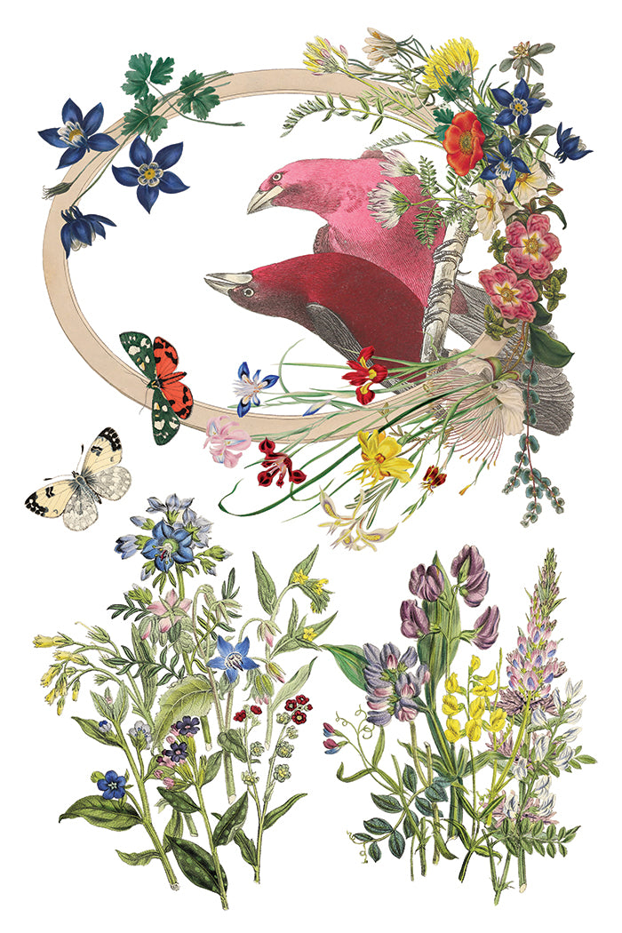 Flora Greca IOD 8x12 Transfer (8 Sheets)